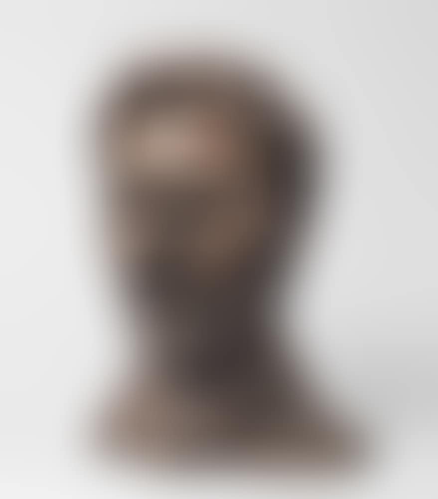 Self-Portrait with a Beard (preview)