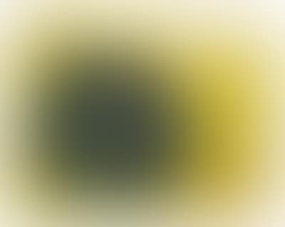 Welt (preview)