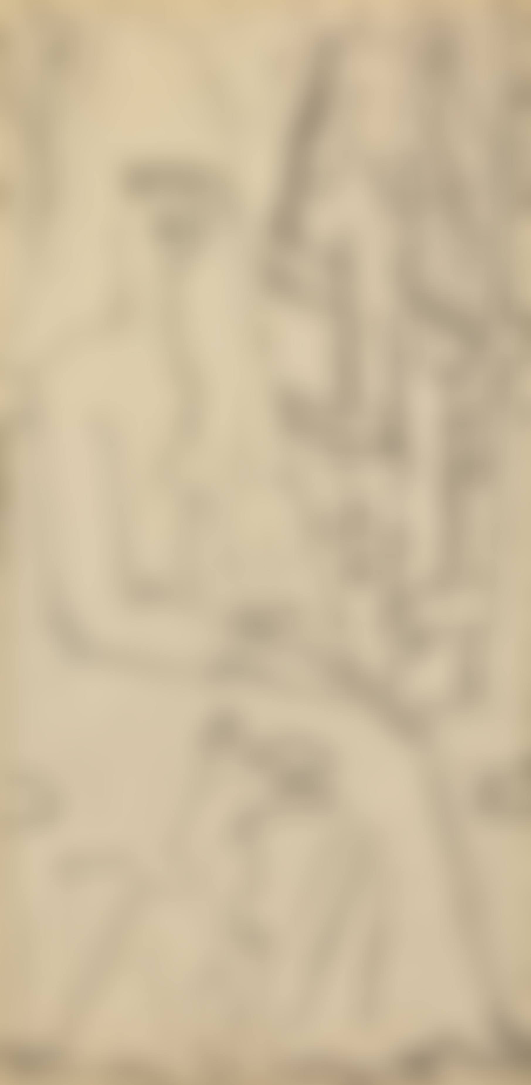Espagnole au chien, Study for Femme en gris (preview)