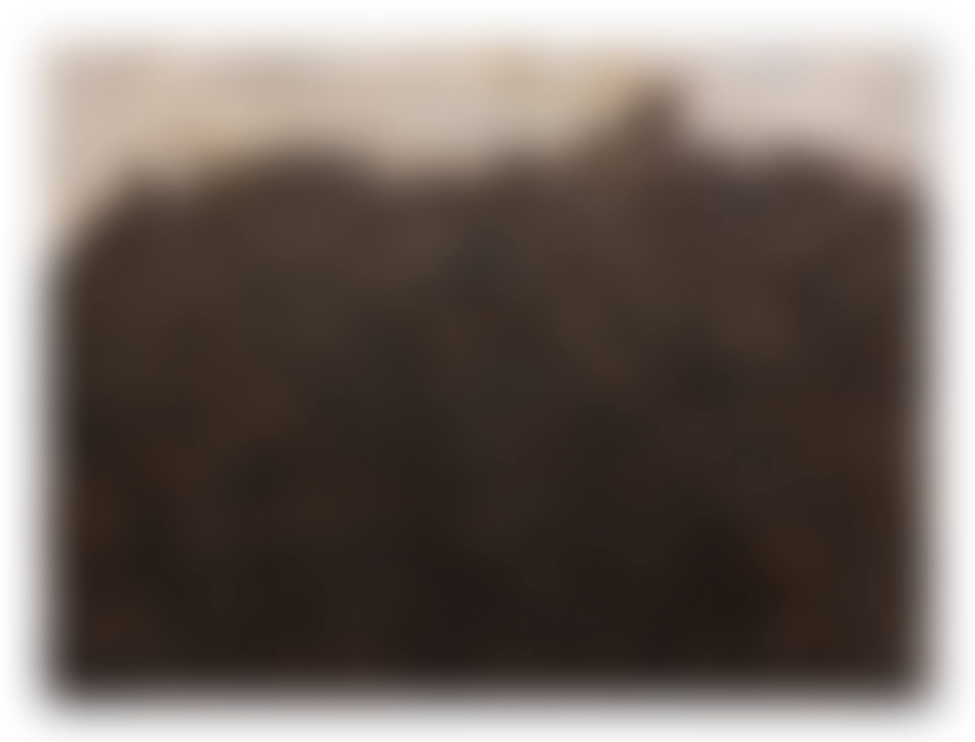 PAYSAGE AUX VÉGÉTATIONS (preview)