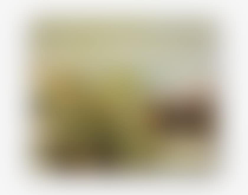 20.1.86 (preview)