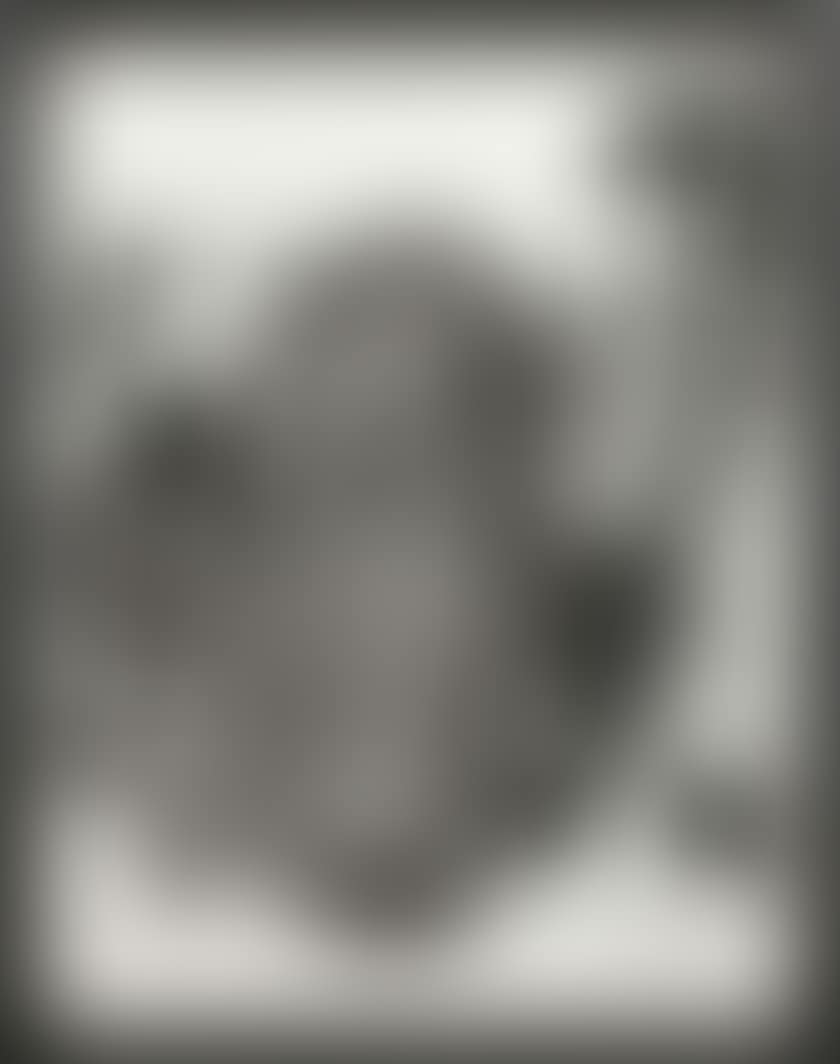UNTITLED (preview)