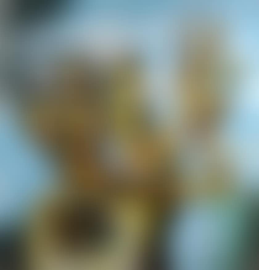 ETRUSCULUDENS (preview)