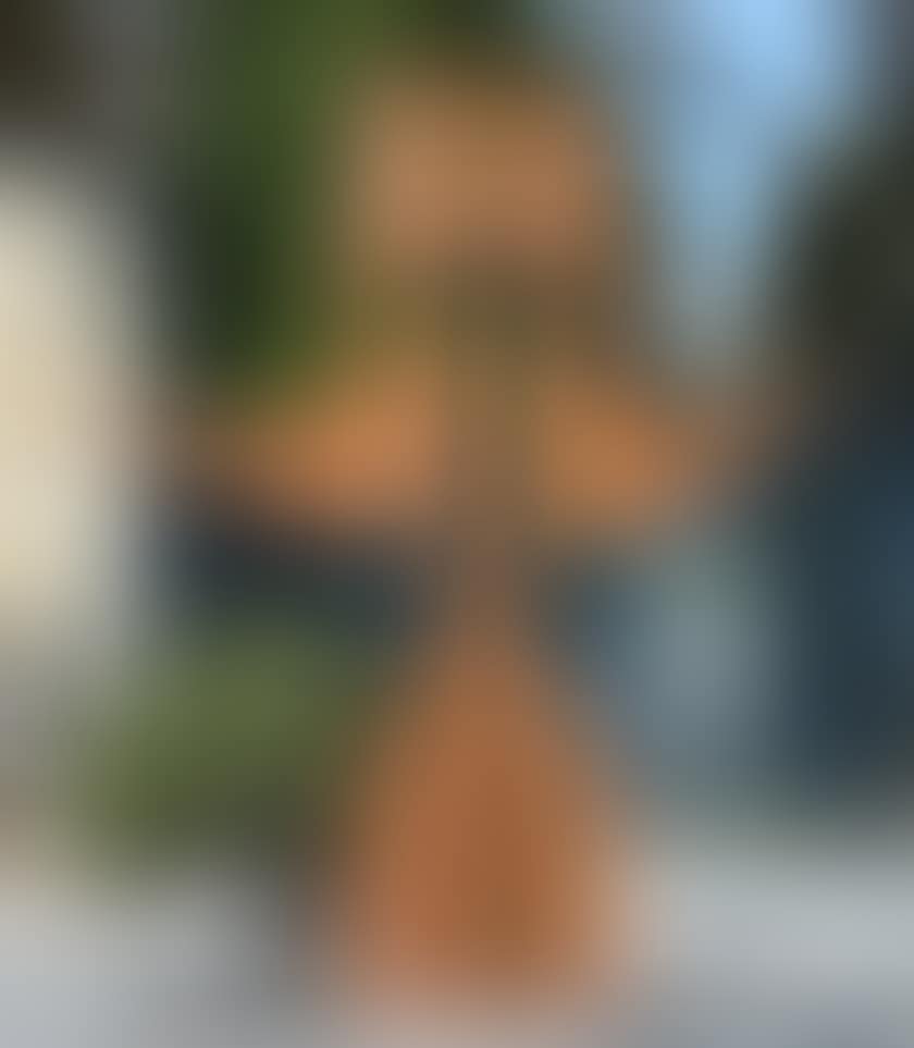 THE SENATOR (preview)