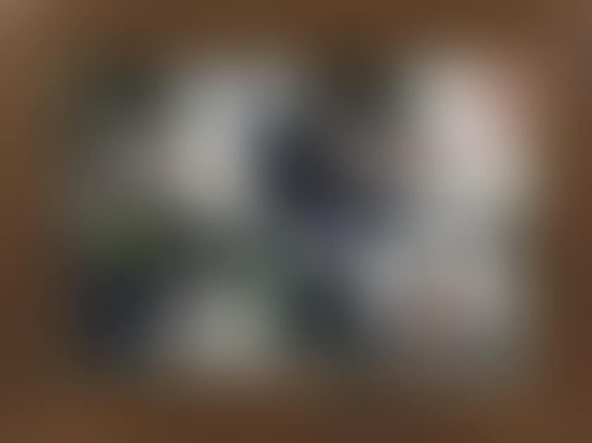 Tribute to Miss Vespa (preview)