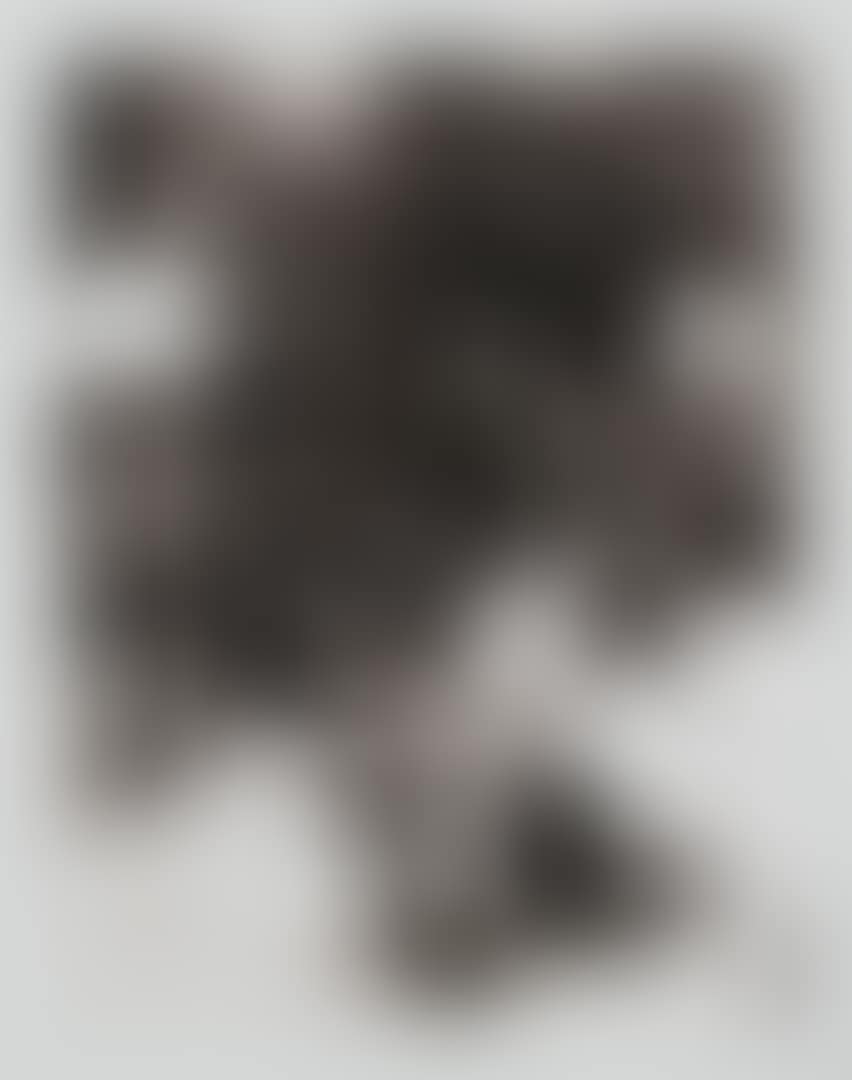 Number 5, 1993 (preview)