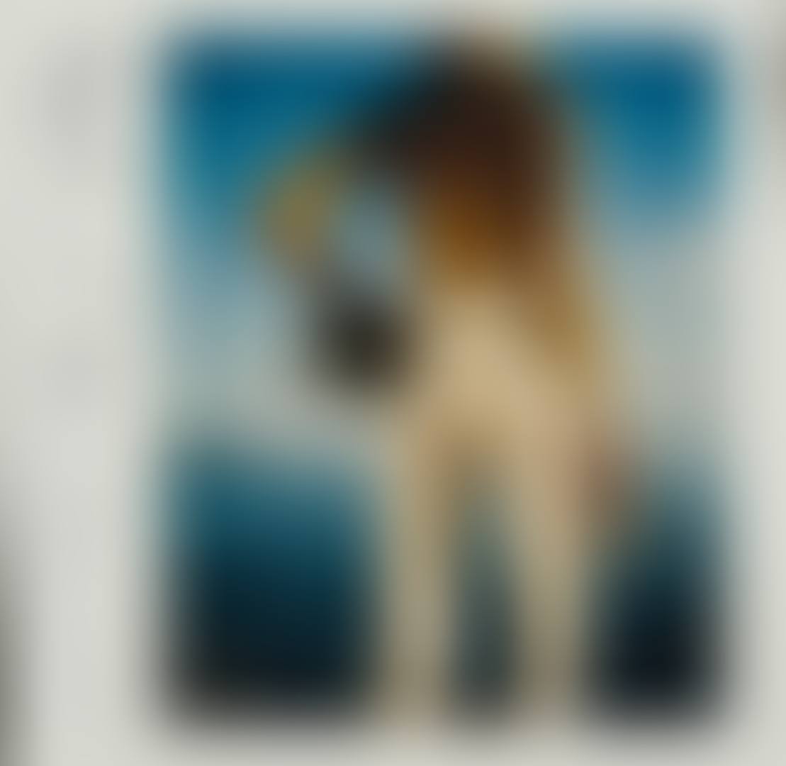 Poster project for Wolford (preview)