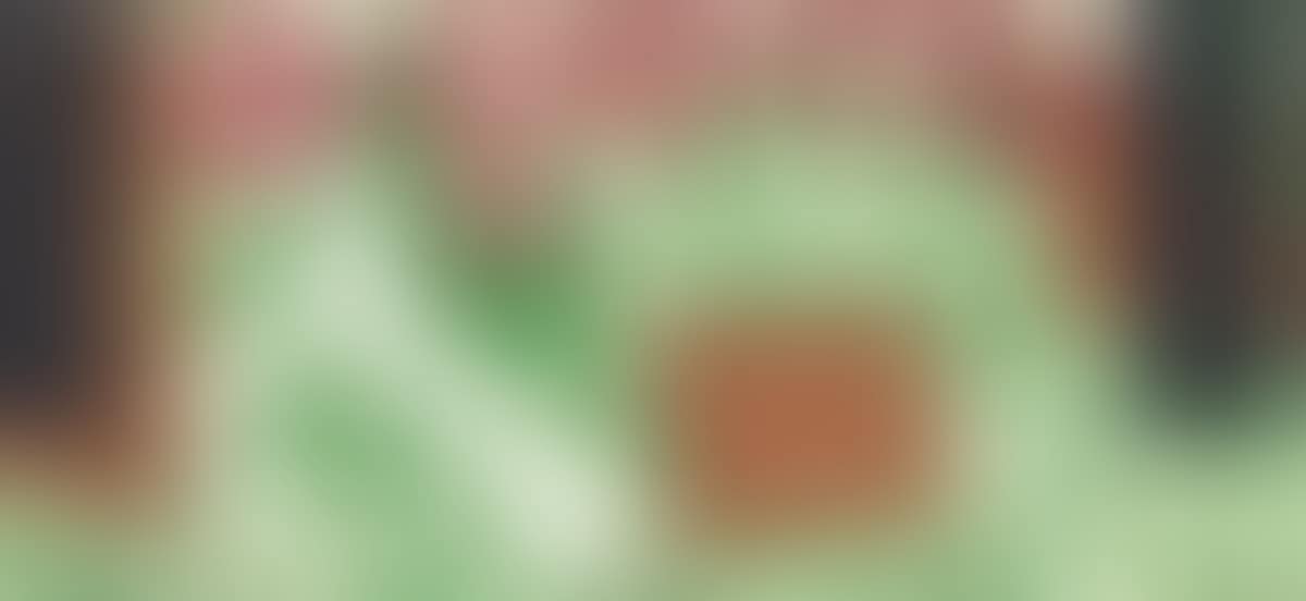 Hospital Room was Chocked with Flowers (preview)