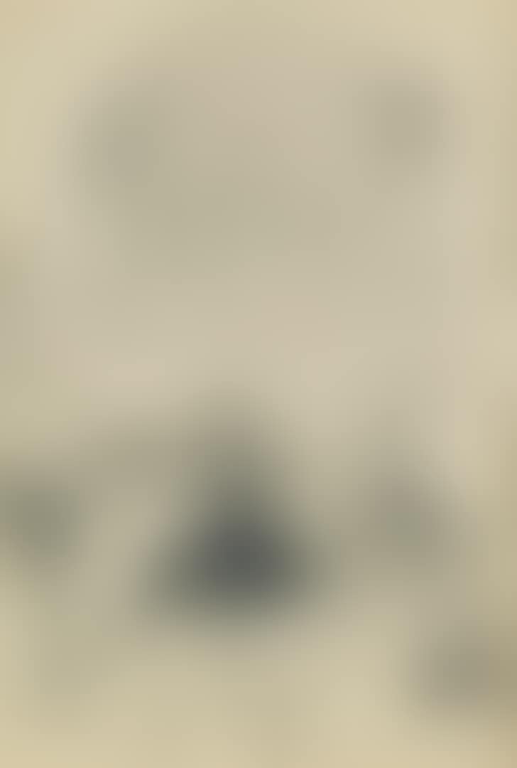 Mozart's Violin Concerto (preview)