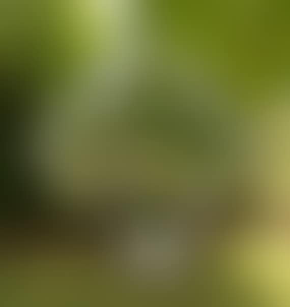 Ohne Titel (preview)