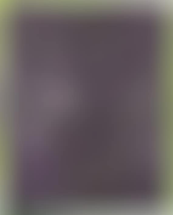 Das Leben der Anderen (preview)