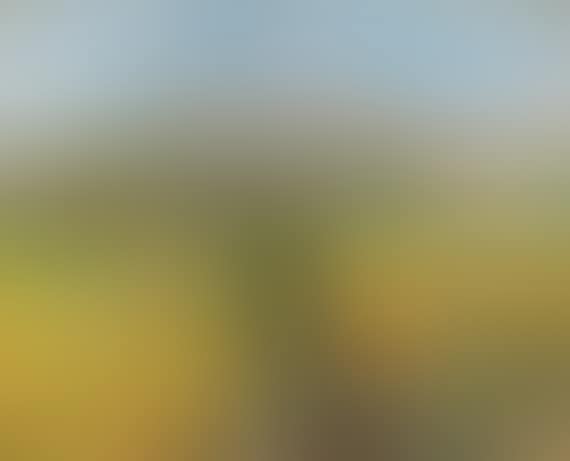 Pfälzer Landschaft (preview)