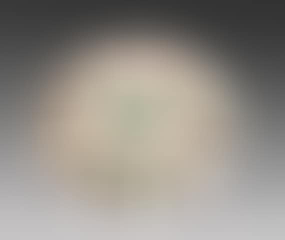 Face with spots (Reverse: Mat face) (preview)