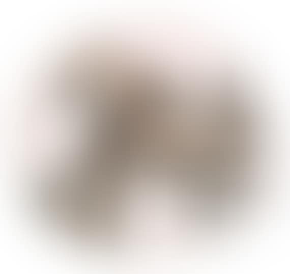 Goat's head in profile (preview)