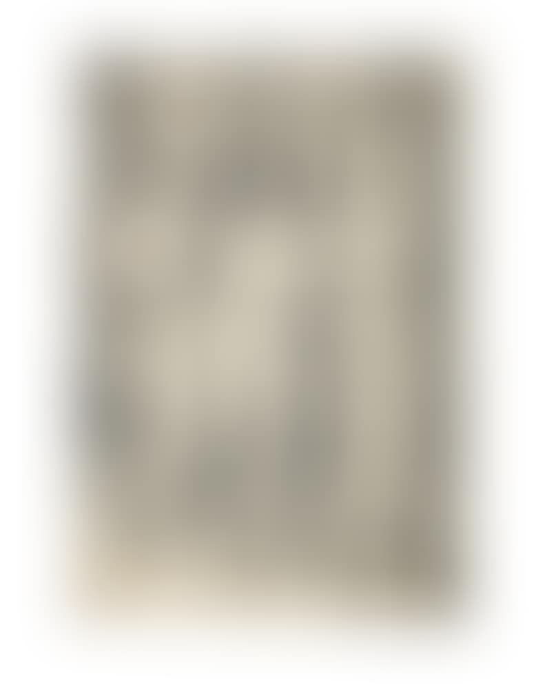 Four Naked Women (Bartsch 75; Meder, Hollstein 69; Schoch, Mende and Scherbaum 17) (preview)