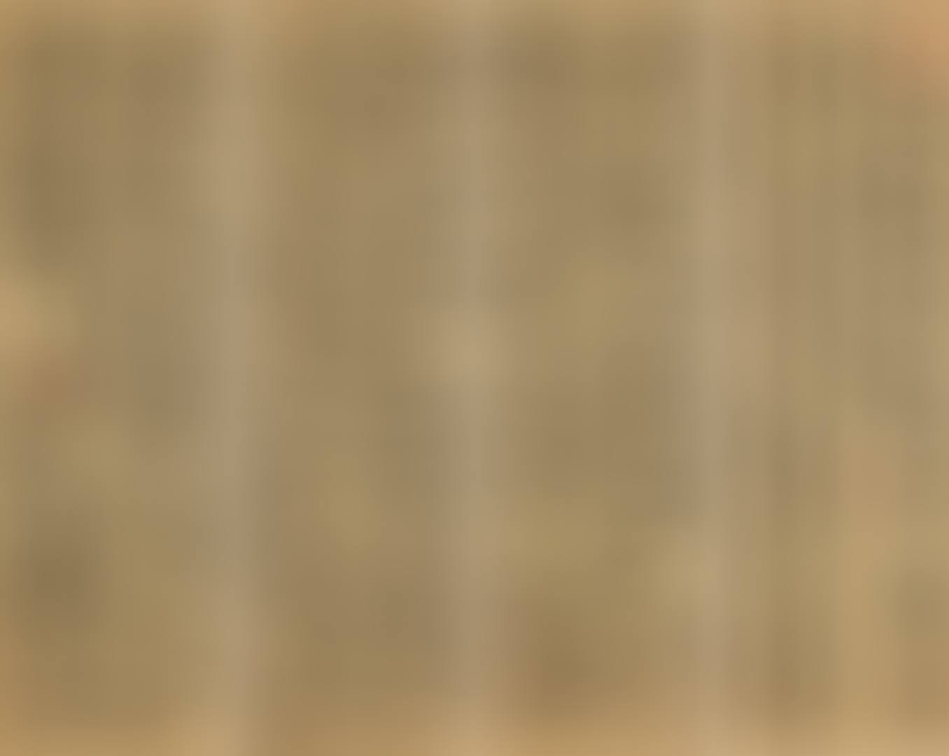 New English Calligraphy: Chairman Mao's Quotations Talks at the Yanan Forum on Literature and Art (Quadruple) (preview)