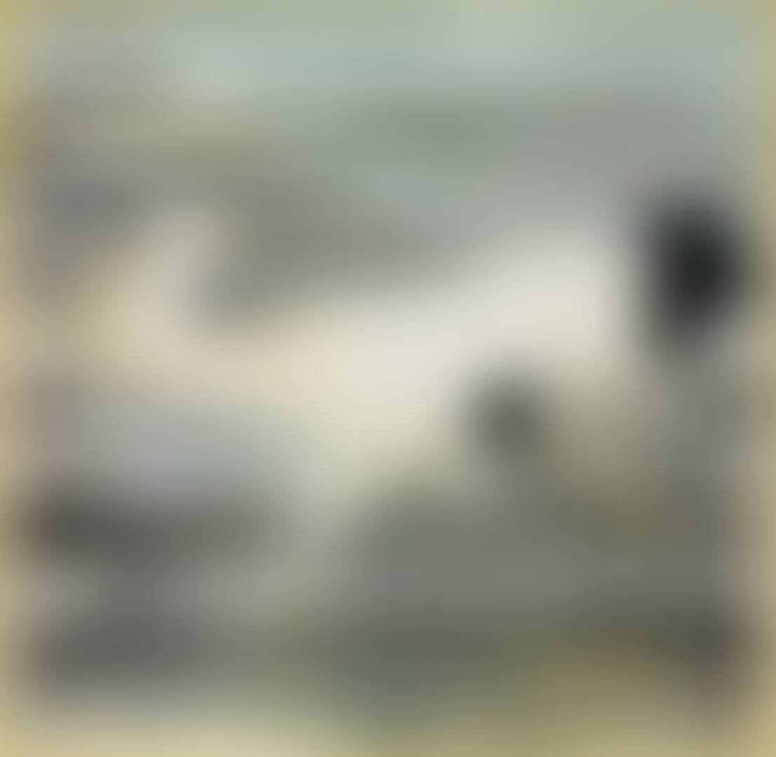 Hérons (preview)