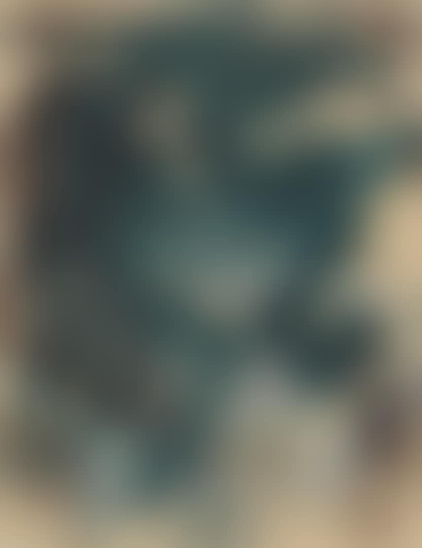 Chaussette (preview)