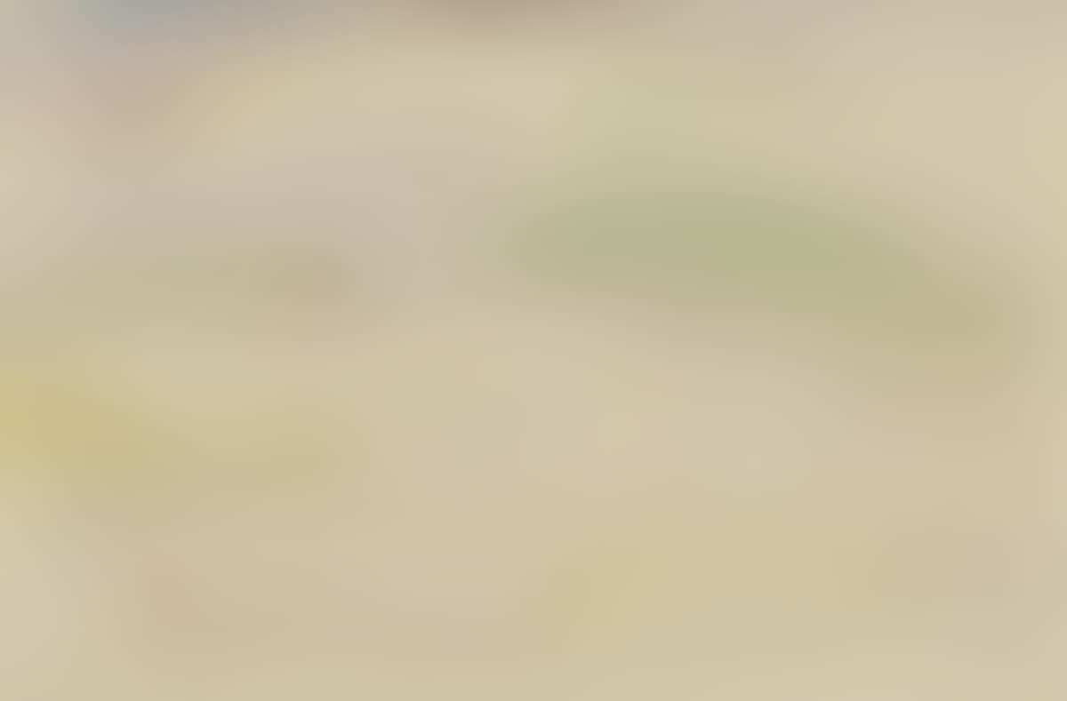Trees on a Hillside (preview)
