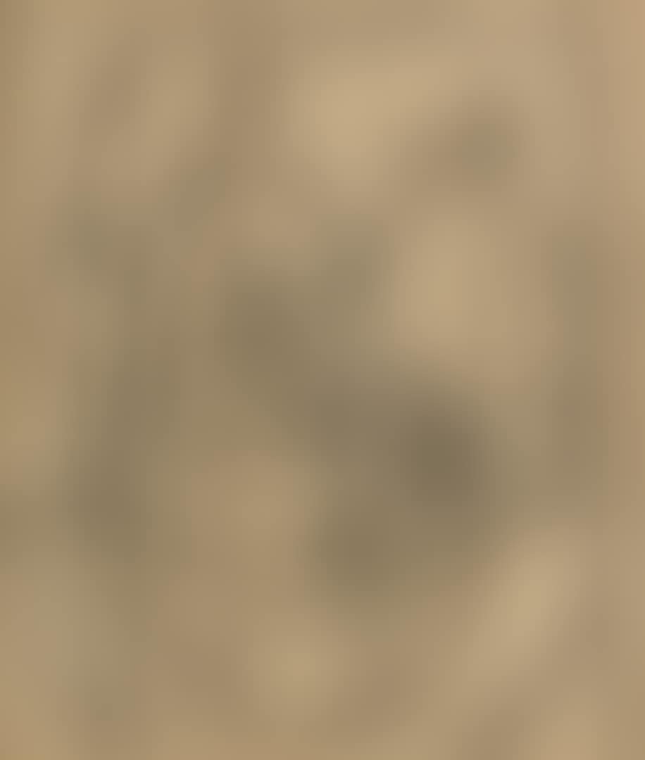 Still Life (preview)