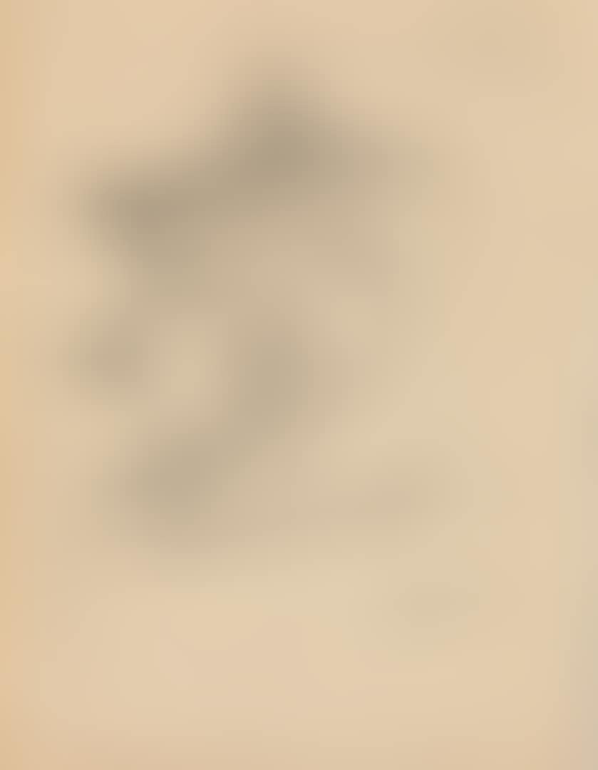 Woman in Beret, Profile; Woman with Bow, profile; Abstract Head; Abstract Face (preview)