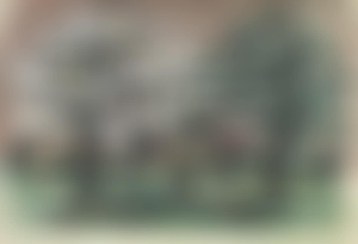 Spring Trees (preview)