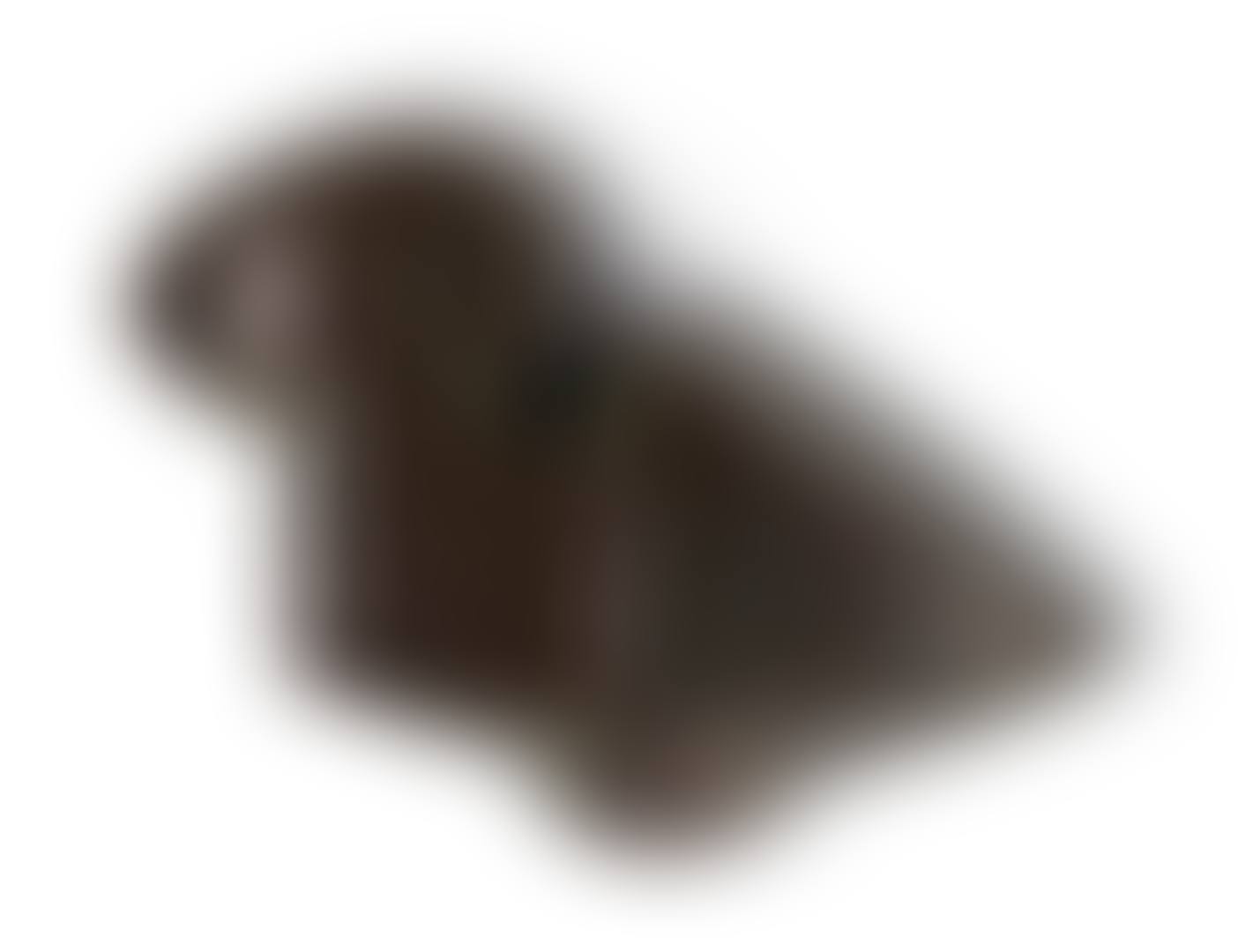 DUCK (preview)