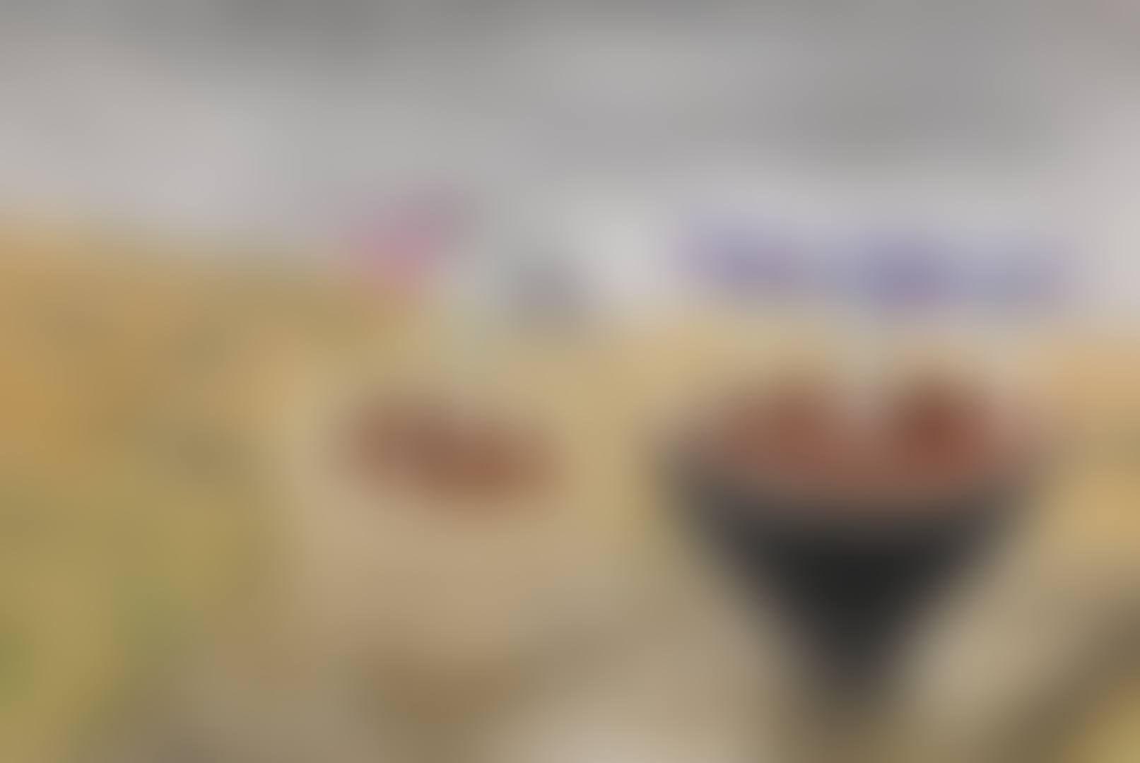 FLOWERS IN A WINTER LANDSCAPE (preview)