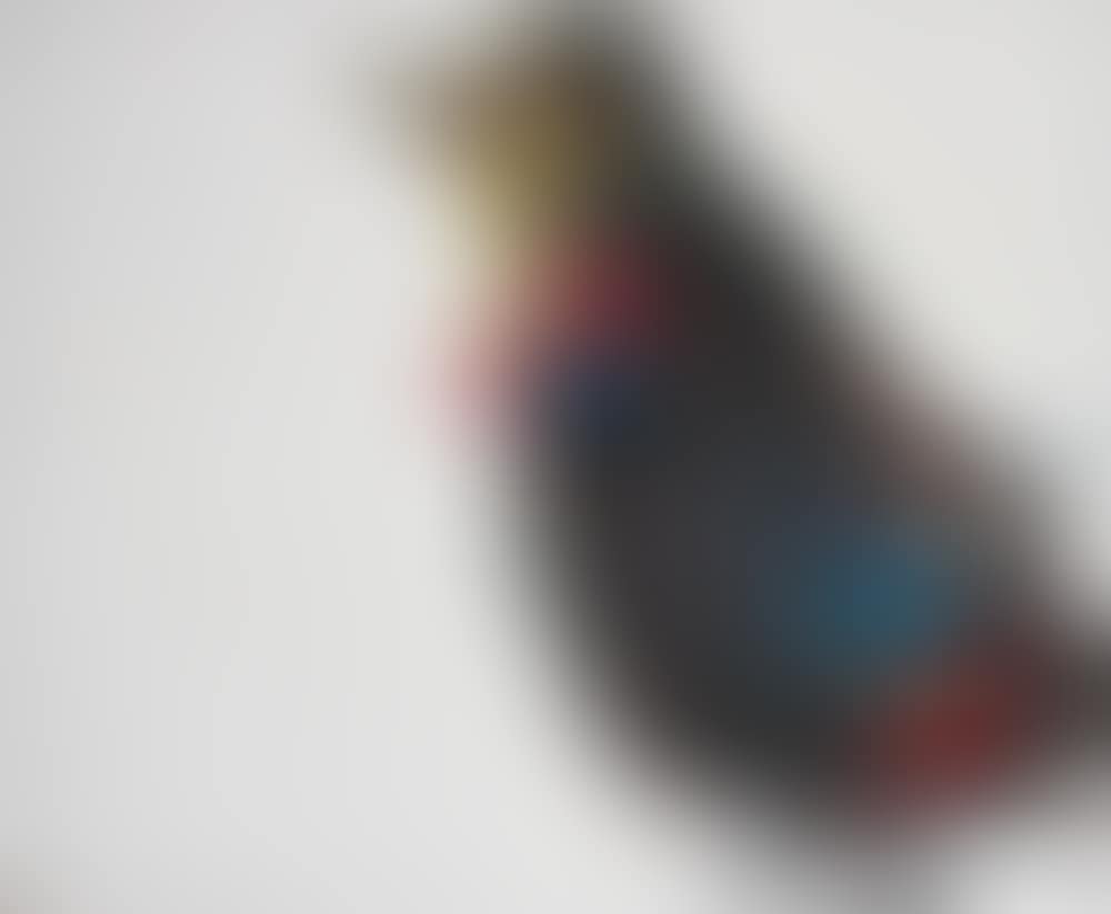 Big Bird (preview)