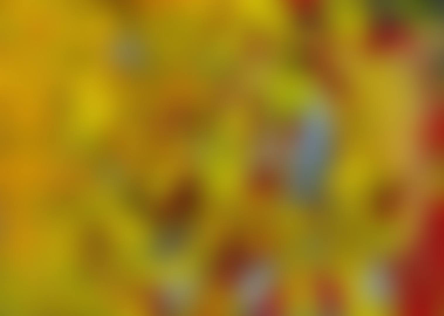 7.4.88 (preview)