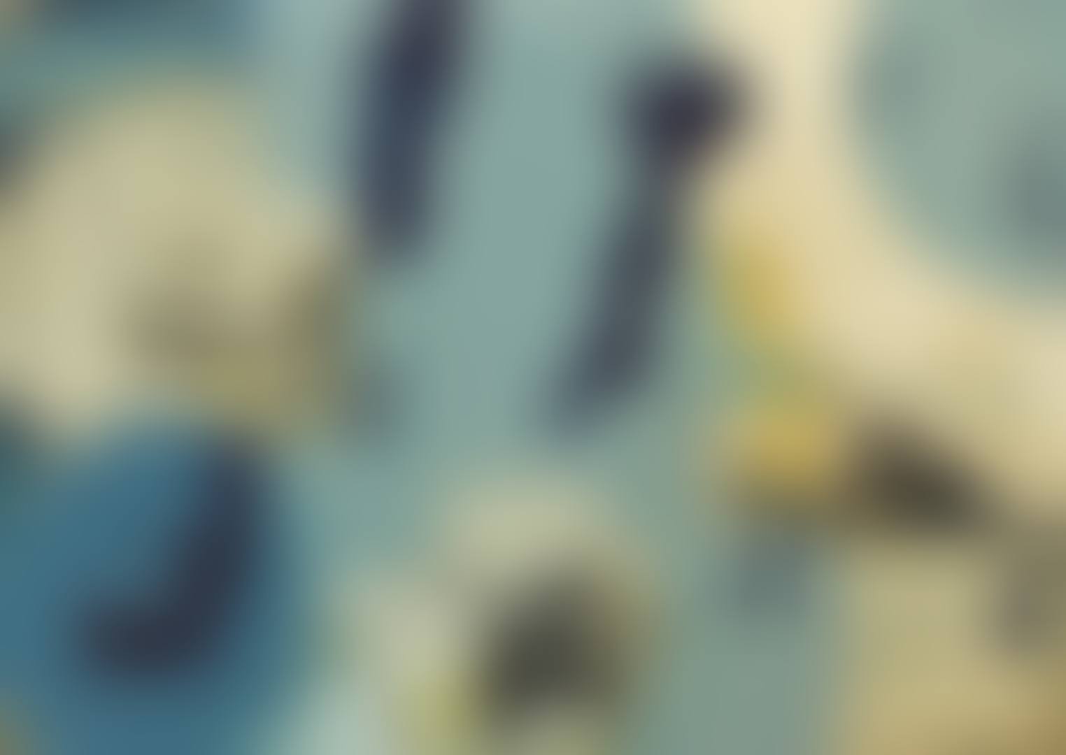Untitled (preview)
