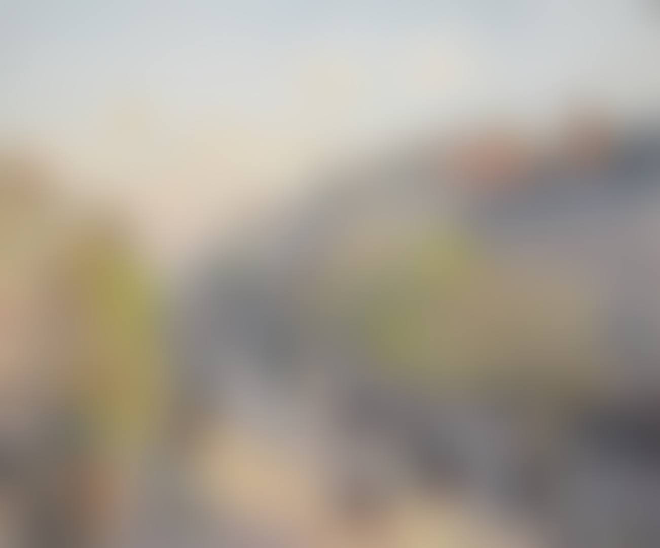 LE BOULEVARD MONTMARTRE, FIN DE JOURNÉE (preview)