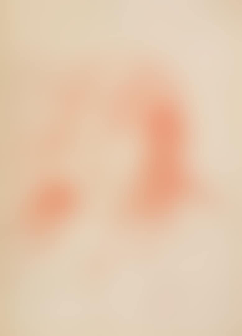FRAUENPORTRÄT (PORTRAIT OF A WOMAN)  (preview)