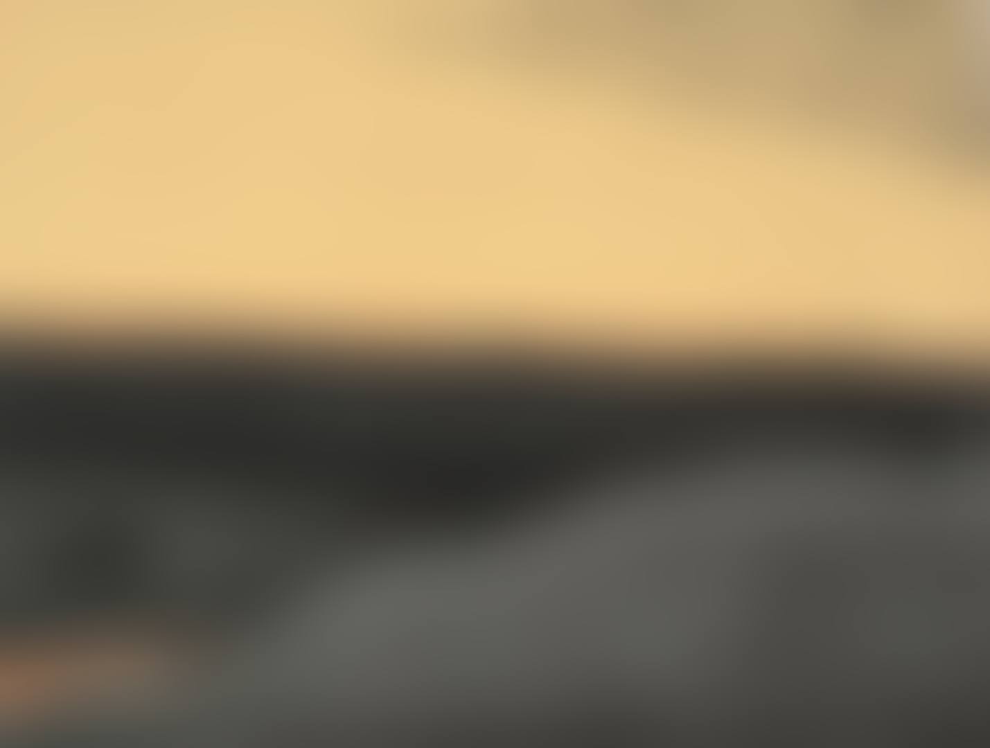 L'ERMITE DANS LE DÉSERT, VOL D'OISEAUX (preview)