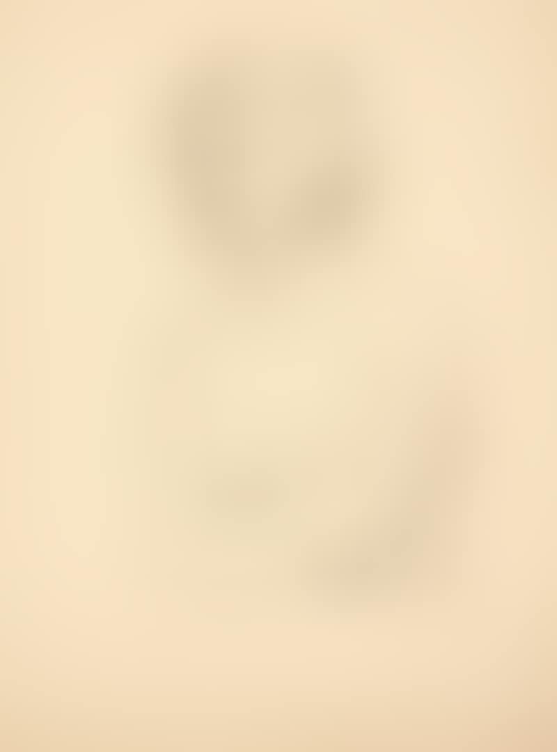 WEIBLICHER HALBAKT (FEMALE SEMI NUDE) (preview)