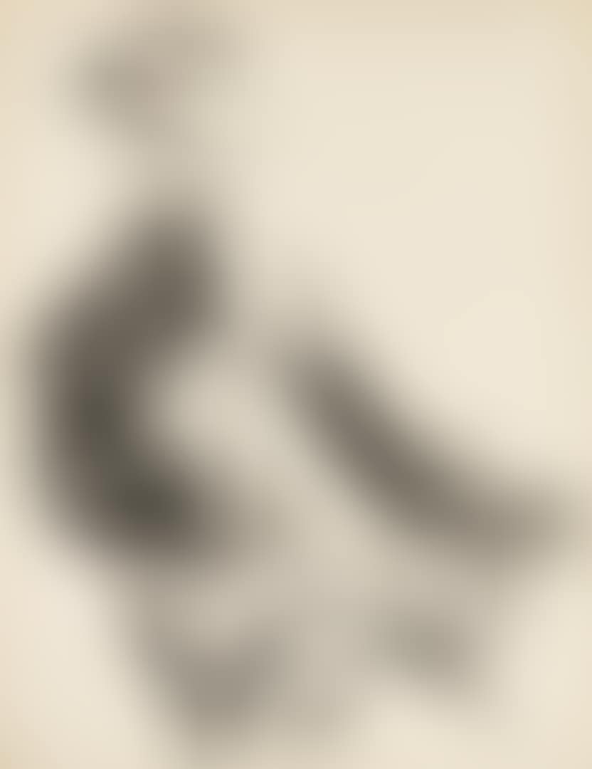 DRAPED DUMMY - RECTO HEAD OF A YOUNG MAN - VERSO (preview)