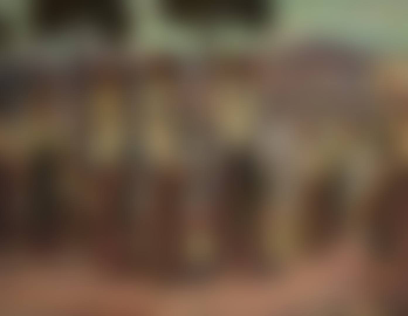 PAYSANNES DE MONTE-CASSINO (preview)