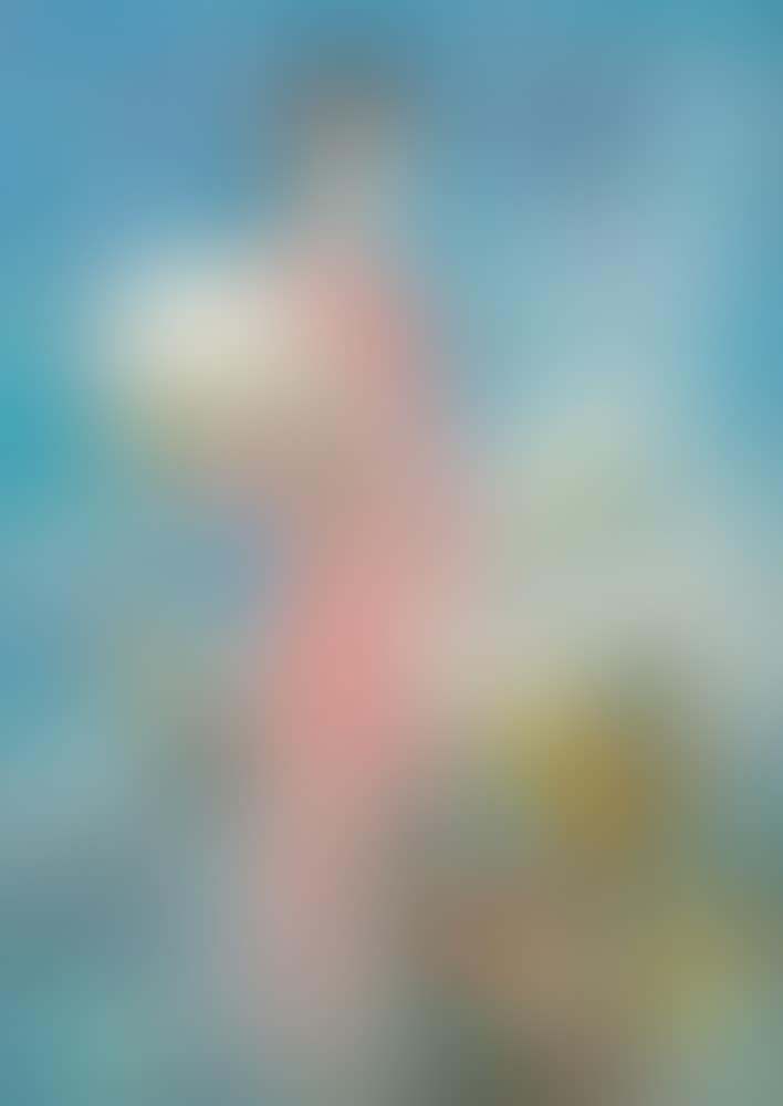 La Cueillette (preview)