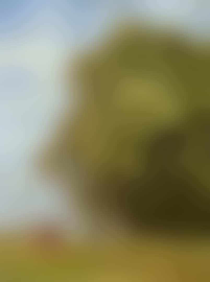 LANDSCHAFT (KUNDSCHAFTER AUS DEM LANDE KANAAN) (preview)