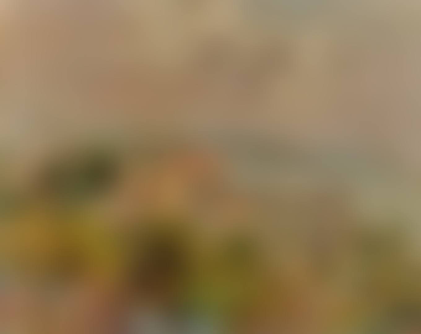 NICE (preview)