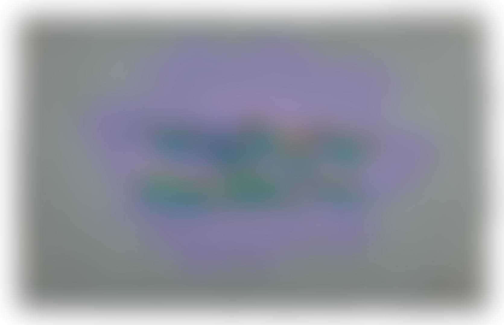 UNTITLED [SANS TITRE] (preview)