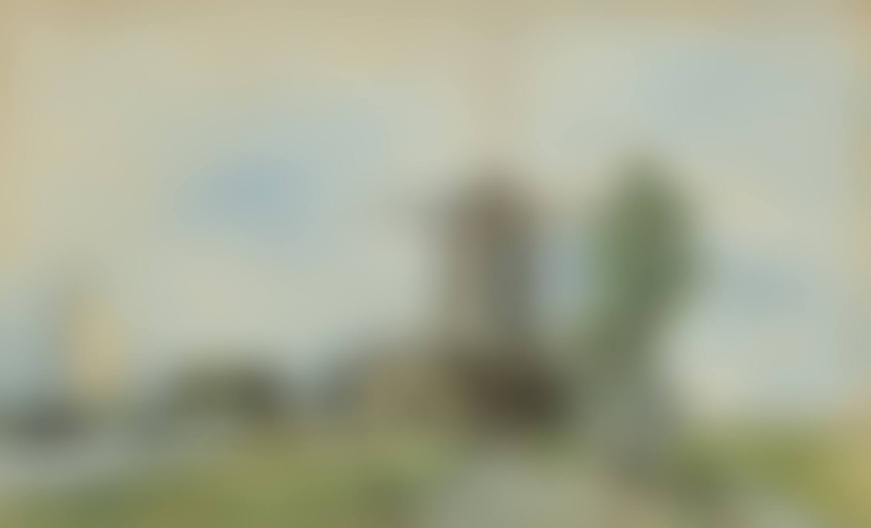 MILL NEAR ROTTERDAM (preview)