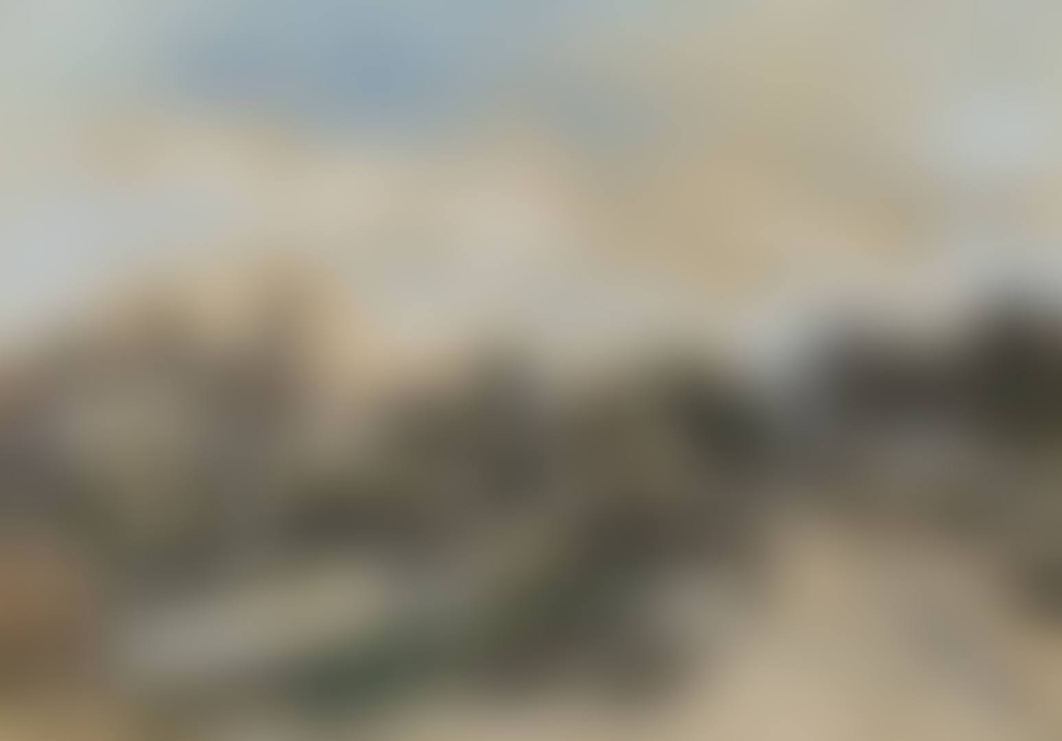 NARBONNE, VIEW OF NARBONNE (preview)