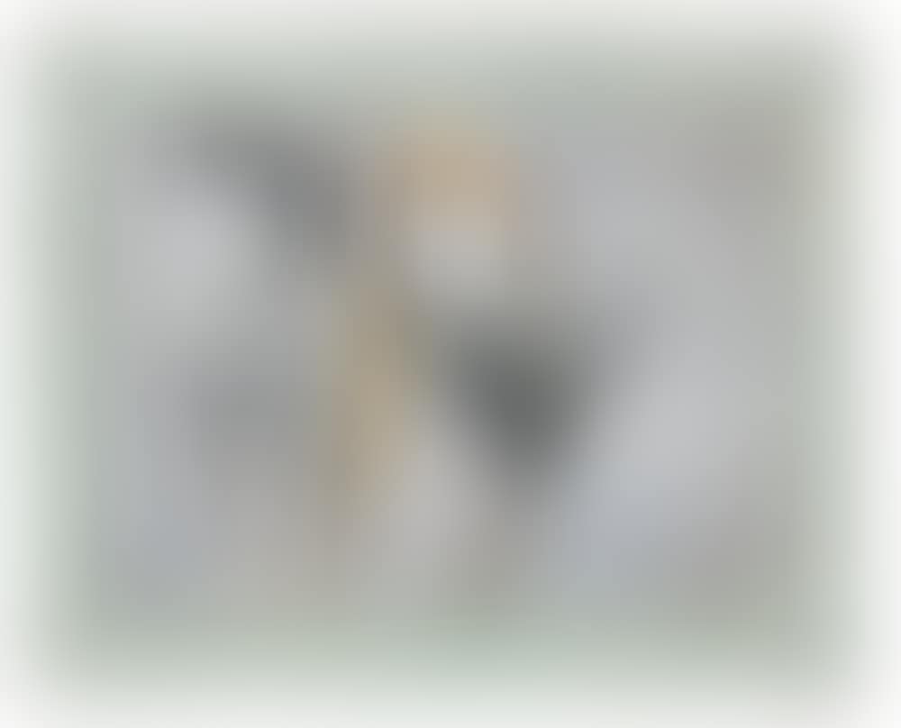 Cavallo e cavaliere (preview)