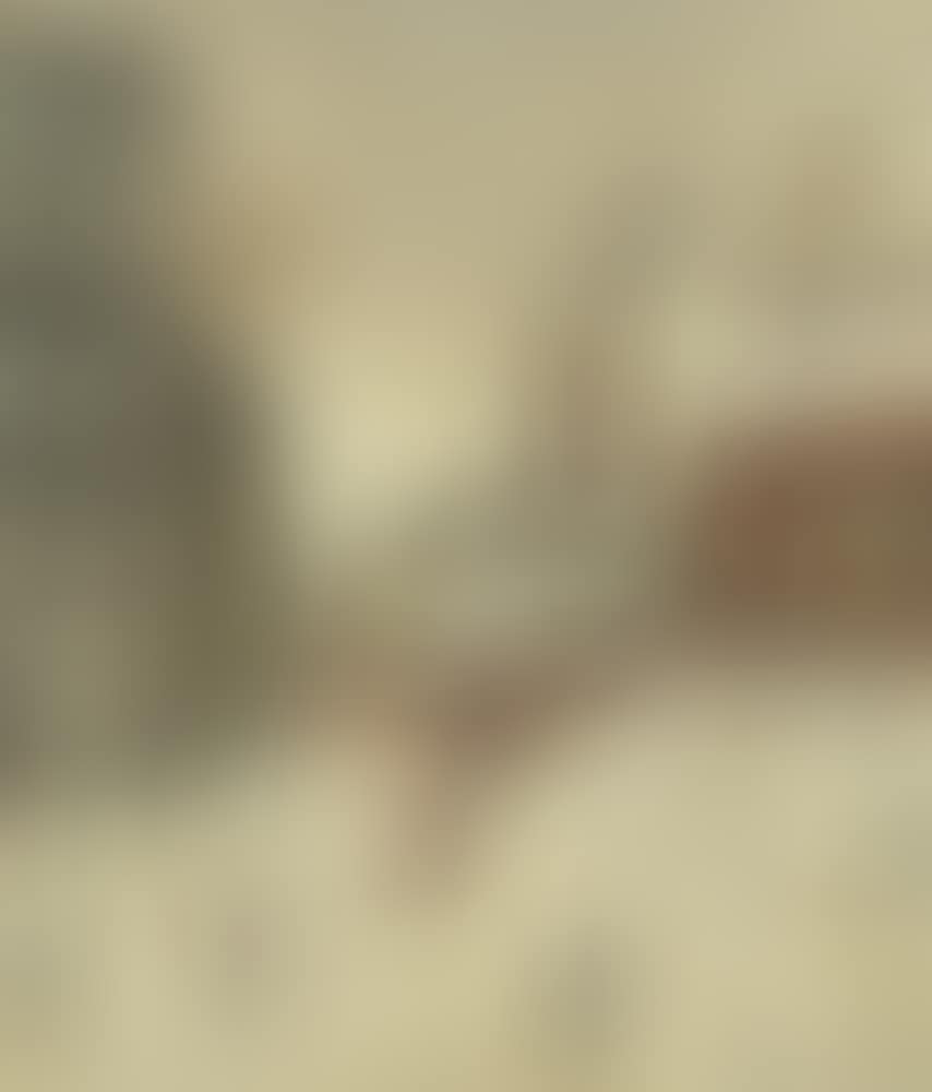 Manchester Trams (preview)
