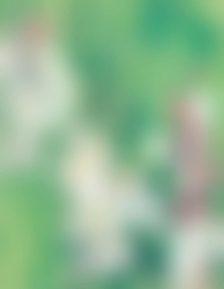 Hollyhocks (preview)