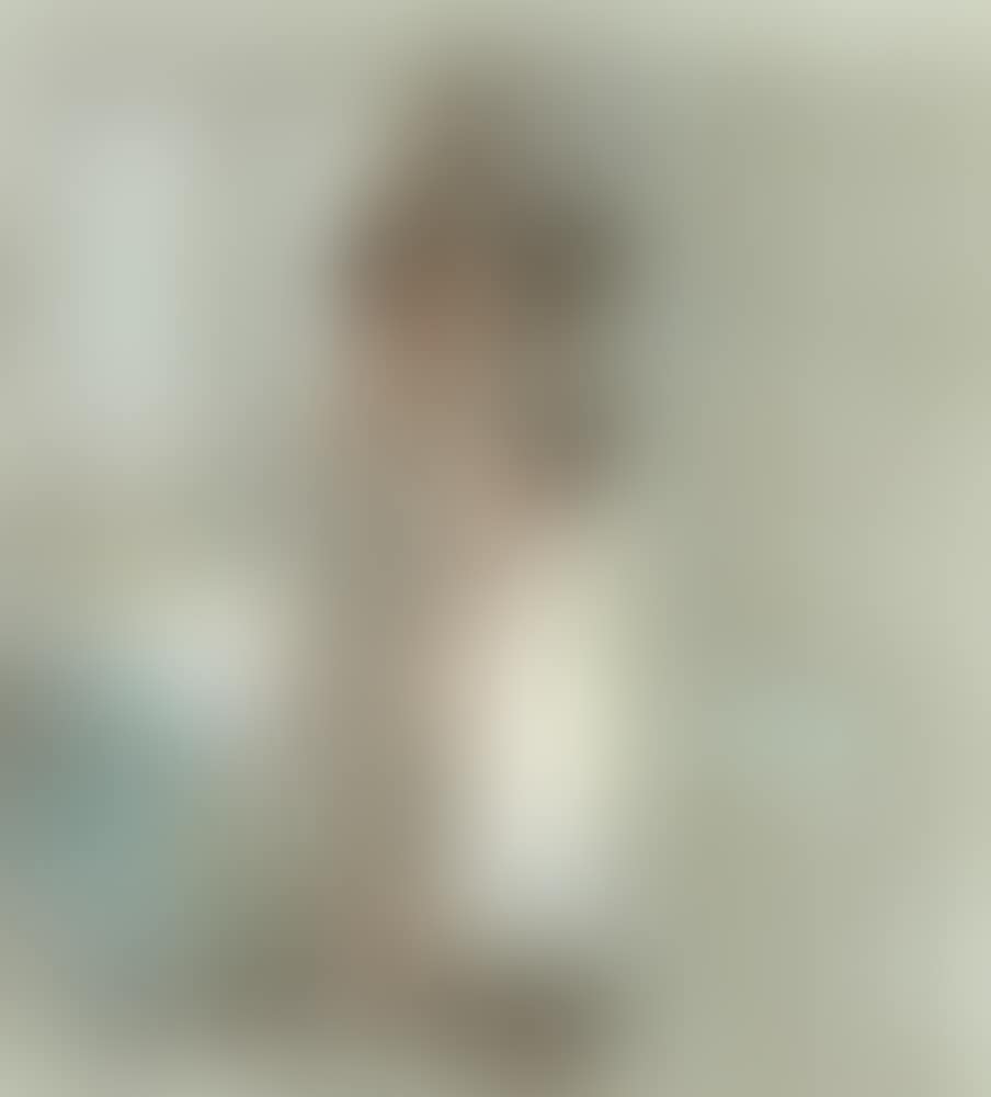 Standing Nude, Interior (preview)