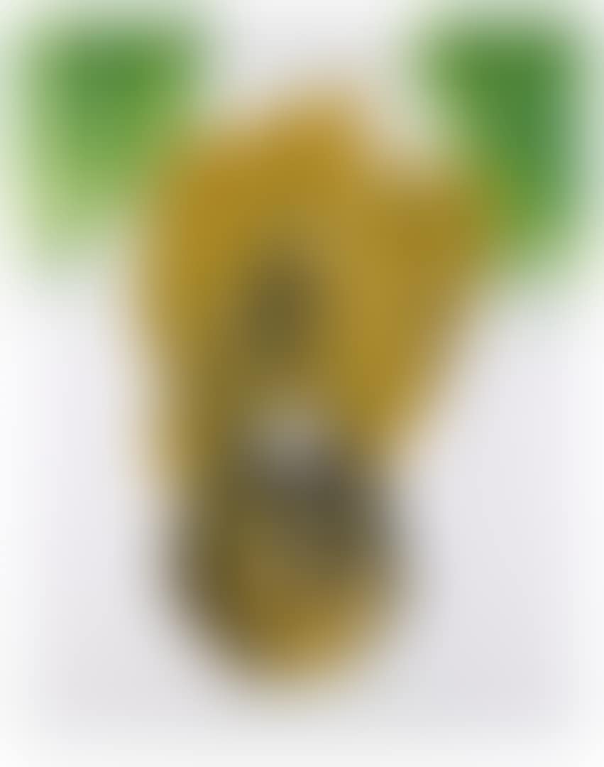 ZWISCHENGRÜN (preview)