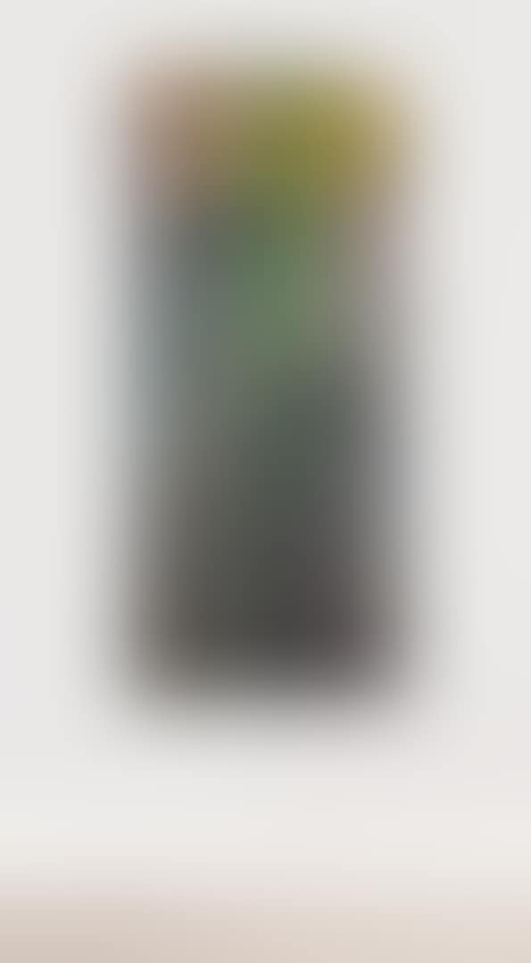 DONDOLINO (preview)