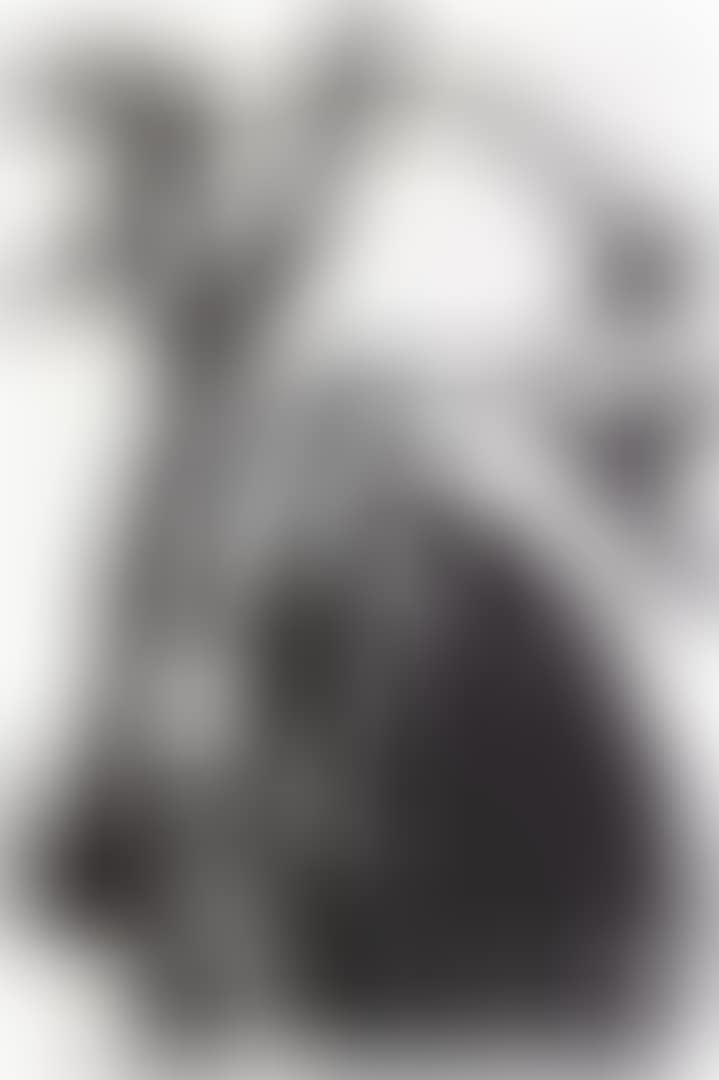 UNTITLED (BLACK AND WHITE) (preview)